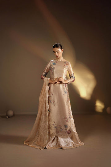 Gul-e-Mah Champagne Floral Tissue Gown