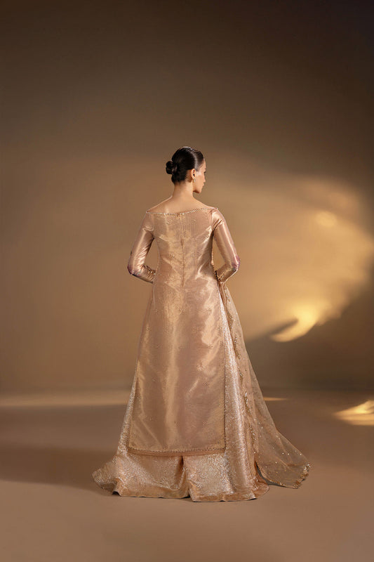 Gul-e-Mah Champagne Floral Tissue Gown